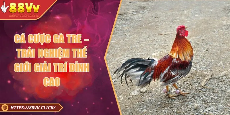Cá Cược Gà Tre – Trải Nghiệm Thế Giới Giải Trí Đỉnh Cao