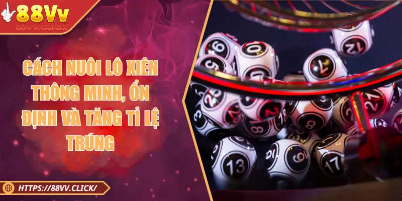 Cách Nuôi Lô Xiên Thông Minh, Ổn Định Và Tăng Tỉ Lệ Trúng