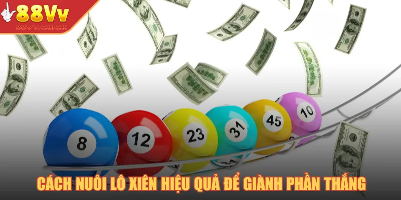 Cách nuôi lô xiên hiệu quả để giành phần thắng