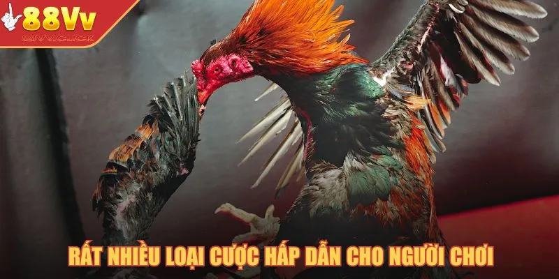 Rất nhiều loại cược hấp dẫn cho người chơi