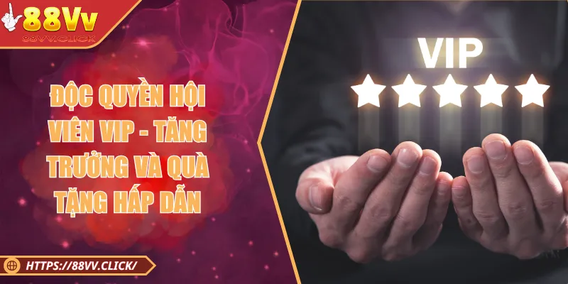 Độc Quyền Hội Viên VIP - Tăng Trưởng và Quà Tặng Hấp Dẫn