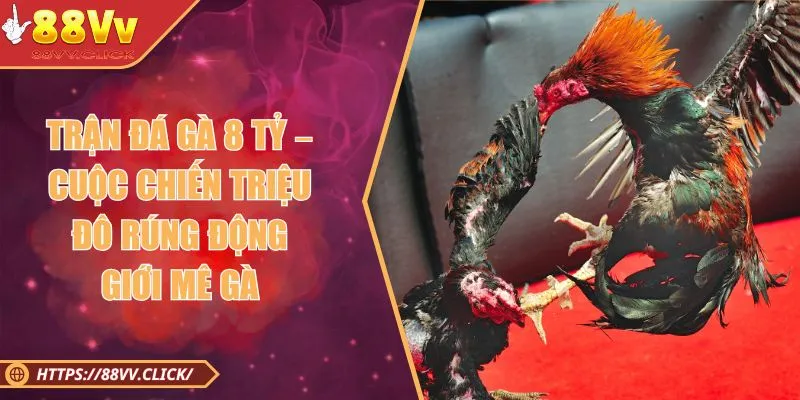 Trận Đá Gà 8 Tỷ – Cuộc Chiến Triệu Đô Rúng Động Giới Mê Gà